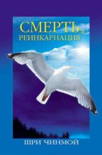 Книга - Шри  Чинмой - Смерть и реинкарнация: Путешествие Вечности (fb2) читать без регистрации
