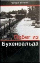 Книга - Григорий Васильевич Зинченко - Побег из Бухенвальда (fb2) читать без регистрации