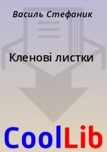 Книга - Василь  Стефаник - Кленові листки (fb2) читать без регистрации