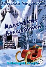 Книга - Вячеслав  Низеньков - Маленькие волшебники (fb2) читать без регистрации