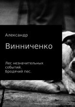 Книга - Александр Александрович Винниченко - Лес незначительных событий. Бродячий пес (fb2) читать без регистрации