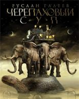 Книга - Руслан  Галеев - Черепаховый суп (fb2) читать без регистрации