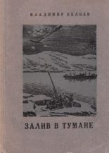 Книга - Владимир Павлович Беляев - Залив в тумане (fb2) читать без регистрации