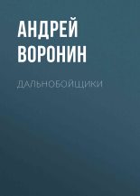 Книга - Андрей  Воронин - Дальнобойщики (fb2) читать без регистрации
