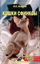 Книга - Дарья Михайловна Нестерова - Кошки – Сфинксы (fb2) читать без регистрации