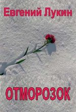 Книга - Евгений Юрьевич Лукин - Отморозок (fb2) читать без регистрации