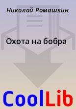 Книга - Николай  Ромашкин - Охота на бобра (fb2) читать без регистрации