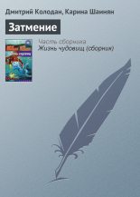 Книга - Дмитрий Геннадьевич Колодан - Затмение (fb2) читать без регистрации