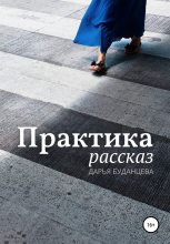 Книга - Дарья  Буданцева - Практика (fb2) читать без регистрации