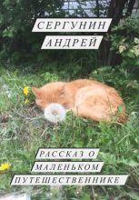 Книга - Андрей Андреевич Сергунин - Рассказ о маленьком путешественнике (fb2) читать без регистрации