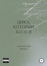 Книга - Афанасий Аркадьевич Ничко - Цикл, который бьётся (fb2) читать без регистрации