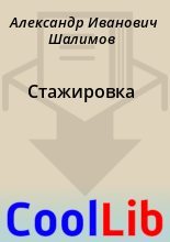Книга - Александр Иванович Шалимов - Стажировка (fb2) читать без регистрации