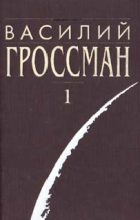 Книга - Василий Семенович Гроссман - Все течёт (fb2) читать без регистрации