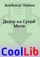 Книга - Владимир  Павлов - Дозор на Сухой Миле (fb2) читать без регистрации