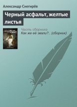 Книга - Александр  Снегирев - Черный асфальт, желтые листья (fb2) читать без регистрации
