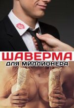Книга - Татьяна  Кошкина - Шаверма для миллионера (fb2) читать без регистрации