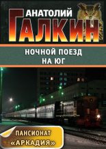 Книга - Анатолий Михайлович Галкин - Ночной поезд на юг (fb2) читать без регистрации