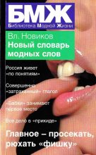 Книга - Владимир Иванович Новиков - Новый словарь модных слов (fb2) читать без регистрации
