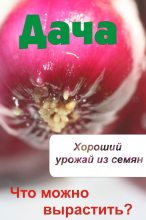 Книга - Илья  Мельников - Что можно вырастить? Хороший урожай из семян (fb2) читать без регистрации