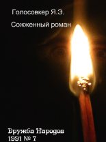 Книга - Яков Эммануилович Голосовкер - Сожженный роман (fb2) читать без регистрации