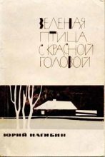 Книга - Юрий Маркович Нагибин - Шампиньоны (fb2) читать без регистрации