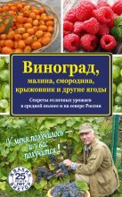 Книга - Виктор  Жвакин - Виноград, малина, смородина, крыжовник и другие ягоды (fb2) читать без регистрации