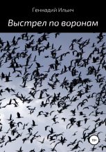 Книга - Геннадий Владимирович Ильич - Выстрел по воронам (fb2) читать без регистрации