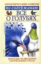 Книга - Светлана Петровна Бондаренко - Все о голубях (fb2) читать без регистрации
