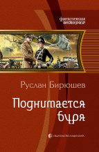 Книга - Руслан Рустамович Бирюшев - Поднимается буря (fb2) читать без регистрации