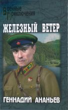 Книга - Геннадий Андреевич Ананьев - Железный ветер (fb2) читать без регистрации