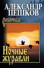 Книга - Александр Владимирович Пешков - Ночные журавли (fb2) читать без регистрации