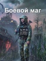 Книга - Роман  Соловьёв - Боевой маг (fb2) читать без регистрации