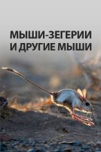 Книга -   l_eonid - Мыши-зегерии и другие мыши (fb2) читать без регистрации