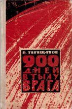 Книга - Виктор Ильич Терещатов - 900 дней в тылу врага (fb2) читать без регистрации