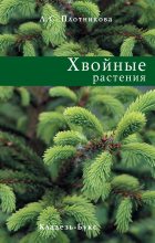 Книга - Лилиан С. Плотникова - Хвойные растения (fb2) читать без регистрации