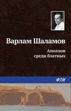 Книга - Варлам Тихонович Шаламов - Аполлон среди блатных (fb2) читать без регистрации
