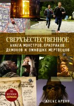 Книга - Александр  Ирвин - Книга монстров, призраков, демонов и оживших мертвецов (fb2) читать без регистрации
