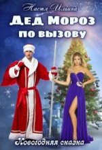 Книга - Настя  Ильина - Дед Мороз по вызову (fb2) читать без регистрации