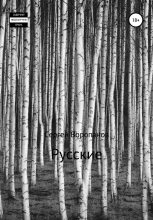 Книга - Сергей Алексеевич Воропанов - Русские (fb2) читать без регистрации