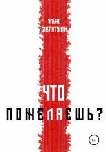 Книга - Ильяс  Сибгатулин - Что пожелаешь? (fb2) читать без регистрации