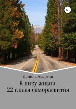 Книга - Данила Витальевич Аваргин - К пику жизни. 22 главы саморазвития (fb2) читать без регистрации