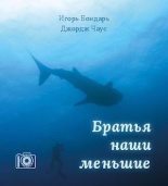 Книга - Игорь  Бондарь - Братья наши меньшие (pdf) читать без регистрации