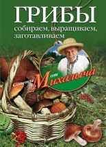 Книга - Николай Михайлович Звонарев - Грибы. Собираем, выращиваем, заготавливаем (fb2) читать без регистрации