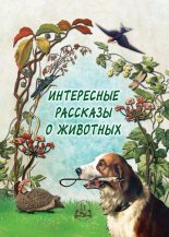 Книга - Н. П. Рудакова - Интересные рассказы о животных (fb2) читать без регистрации