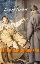 Книга - Дмитрий Николаевич Голубков - Пленный ирокезец (fb2) читать без регистрации