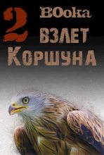 Книга - Алексей  Акданин (B0oka) - Взлет Коршуна 2 (fb2) читать без регистрации