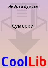 Книга - Андрей  Бурцев - Сумерки (fb2) читать без регистрации