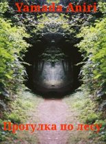 Книга - Aniri  Yamada - Прогулка по лесу (СИ) (fb2) читать без регистрации