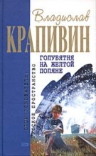 Книга - Владислав Петрович Крапивин - Голубятня на жёлтой поляне (fb2) читать без регистрации