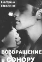 Книга - Екатерина  Гордиенко - Возвращение в Сонору  (fb2) читать без регистрации